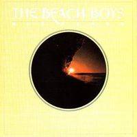 The Beach Boys : M.I.U. Album